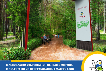 Новый экологический маршрут появится в Ленинградской области этой осенью